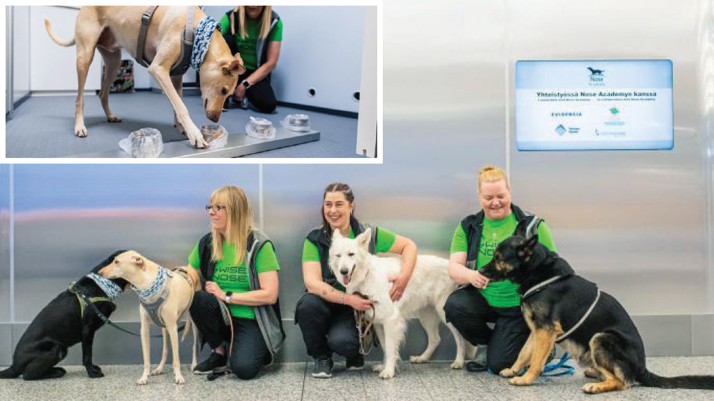 Helsinki Airport Trials Wise Nose Sniffer Dogs to Detect COVID-19