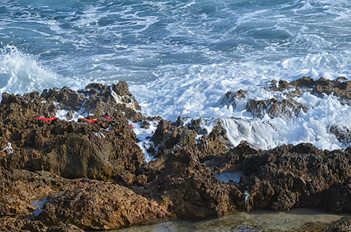 Debris is shown here from the remnants of refugees’ flimsy boats used to illegally enter Italy via the Sicilian coastline.