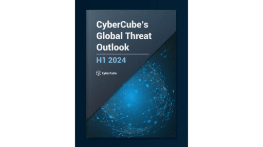 CyberCube Report Warns of Need to Bolster Defenses Against Public Sector Attacks